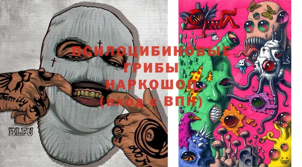 СК Горняк