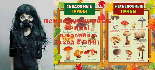 соль курить ск Горно-Алтайск
