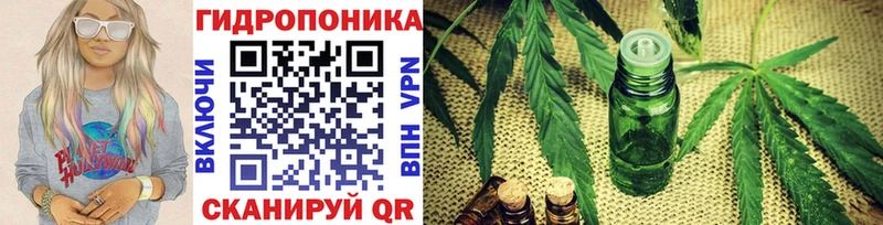 Конопля сатива  Лебедянь 